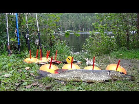 Видео: Знакомство с Карелией Каникулы по-карельски