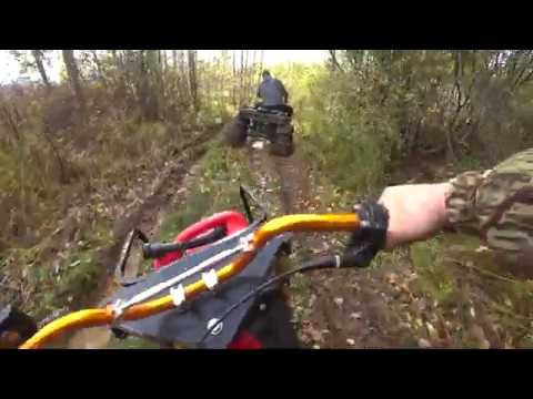 Видео: На лёгких мотовездеходах по осеннему лесу.