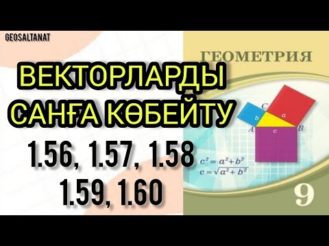 Видео: Геометрия 9 сынып.Векторларды санға көбейту. 1.56; 1.57; 1.58; 1.59; 1.60; есептер.#9геометрия