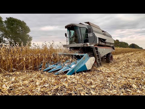 Видео: Кукурудза 🌽  по 100ц ❗️3972 🔥