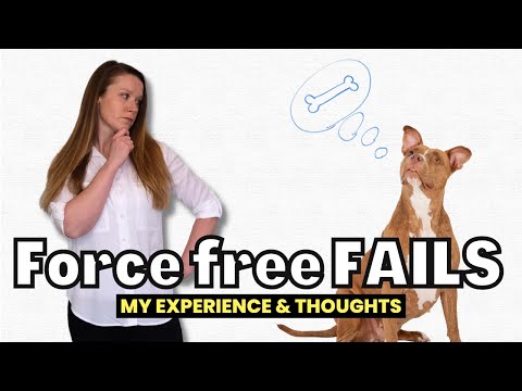 Видео: Почему принудительная дрессировка собак НЕ работает? (НЕ то, что можно было бы ожидать...)