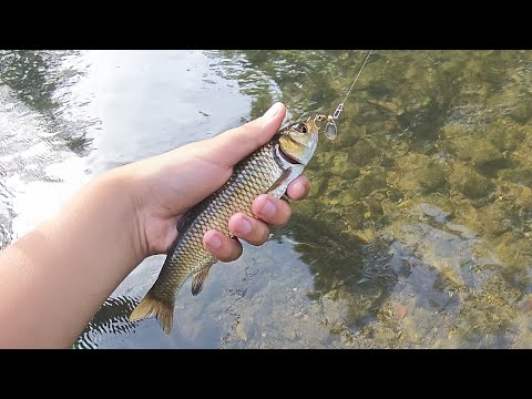 Видео: Риболов на река Тунджа с Fishing_YT (част 1)