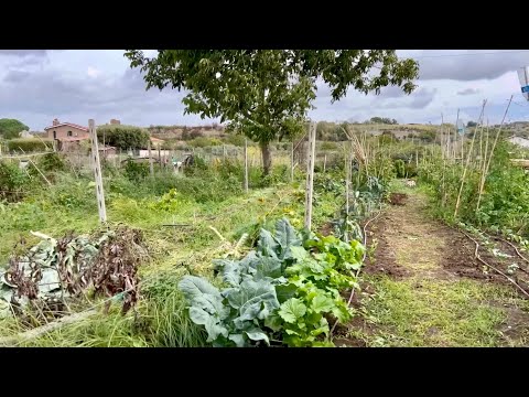 Видео: Смяна на сезоните в Зеленчуковата градина/ Рим