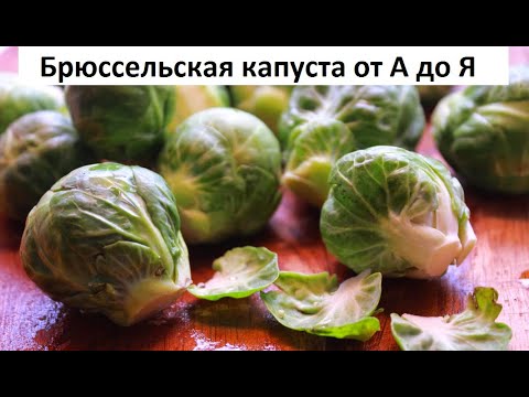 Видео: Брюссельская капуста от А до Я.