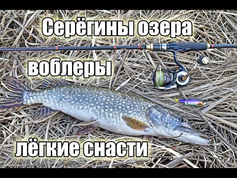 Видео: С легкими снастями на любимый пруд