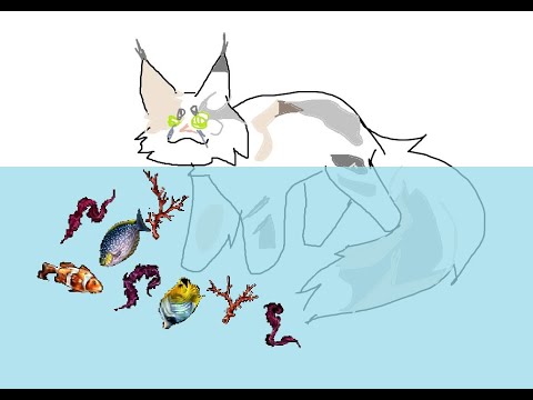 Видео: Поход в Дальние Воды с Мирькой | CatWar