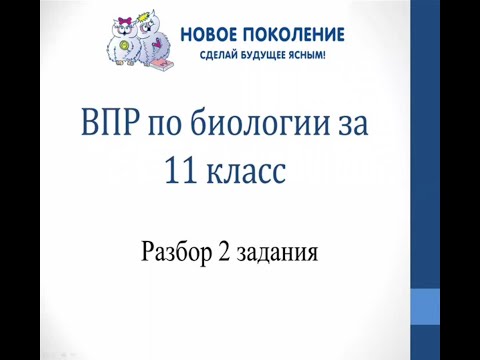 Видео: Биология. Разбор 2-го задания ВПР по биологии 11 класс