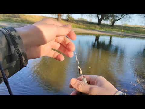 Видео: Хто би міг подумати, що в цій колюжі так багато риби. #fishing @TEULU999 