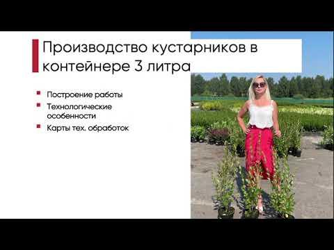 Видео: 1ч.  "Производство кустарников в контейнере 3 литра", Ирина Любченко