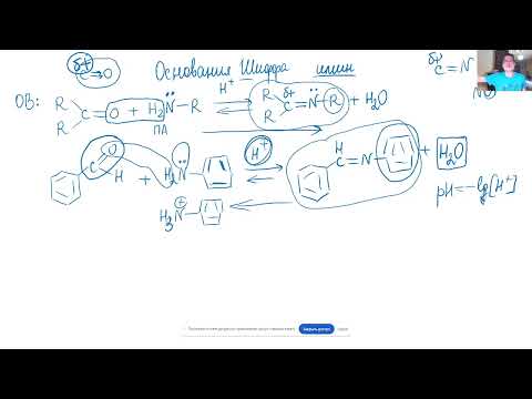 Видео: Занятие 114. Реакции альдегидов и кетонов с оксимами, аминами, иминами, гидразонами, семикарбазонами