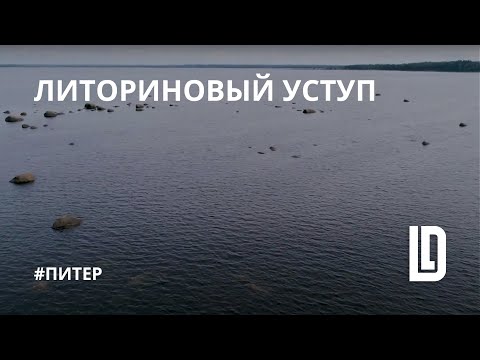 Видео: Литориновый уступ