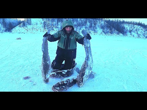 Видео: ВСЕ!!! УНОСИМ НОГИ ОТ ТАКОЙ РЫБАЛКИ!!! Первый лед 2022-2023 Якутия.