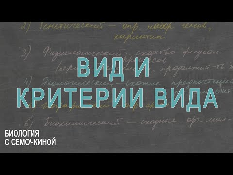 Видео: Вид и критерии вида