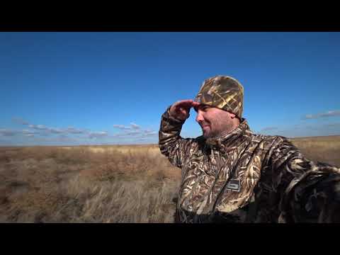 Видео: Песни про Охоту. Трек Скучаю я по Охоте