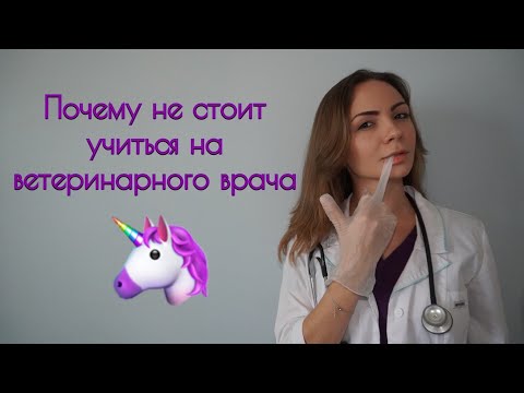 Видео: ПРОФЕССИЯ ВЕТЕРИНАР : ГОТОВЫ ЛИ ВЫ СТАТЬ ВРАЧОМ?