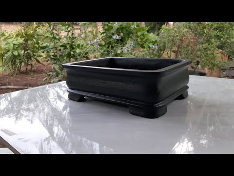 Видео: Легкий способ сделать горшок для бонсай маме