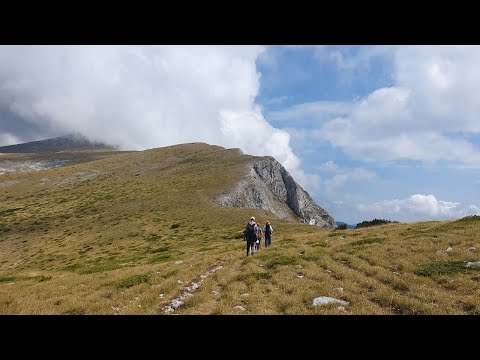 Видео: Солунска глава, чекор по чекор...