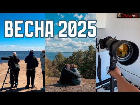 Видео: Весна: новый объектив, Карелия, птицы, новости