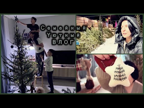 Видео: ВЛОГ / Семейный Уютный Предновогодний Влог / Ёлка 🌲 / Покупки / Подготовка к Новому Году