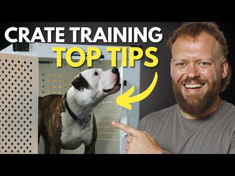 Видео: Советы по приучению к клетке, которые действительно работают