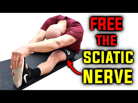 Видео: Седалищный нерв: настоящая причина напряжения подколенных сухожилий?