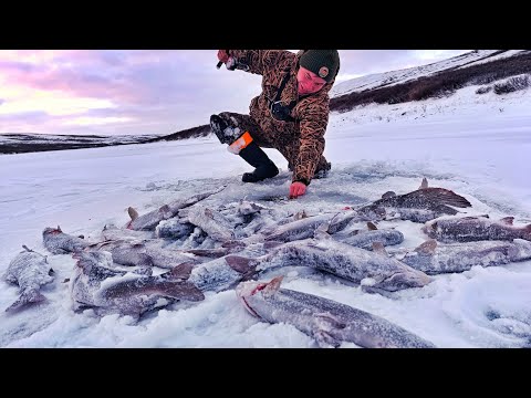 Видео: ПЕРВЫЙ ЛЁД!! И ТОННЫ РЫБЫ В ВОДЕ!!!НОЧЁВКА НА ГОРНОЙ РЕКЕ!!!