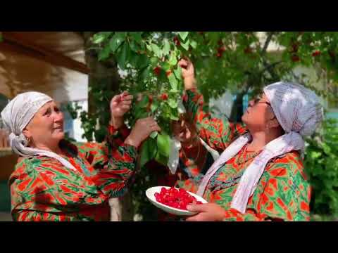 Видео: Кан айылы "Тоо Булагы" шайыр апалар