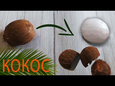 Видео: Як відкрити кокос. ЦІЛИМ плодом