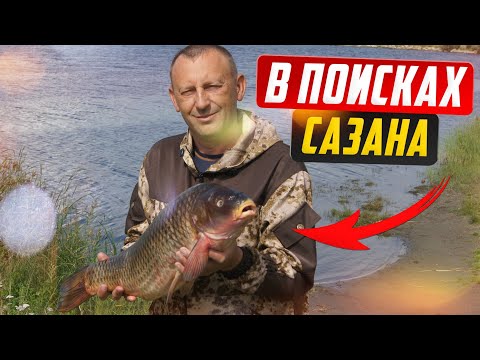 Видео: В поисках САЗАНА. Рыбалка на реке Обь.