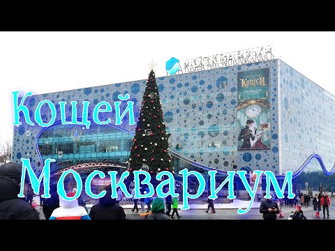 Видео: Москвариум.Кощей.Новогоднее представление.
