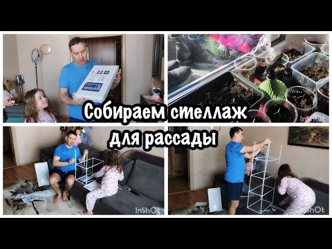 Видео: Распаковка стеллажа с Вайлдберриз. Муж собрал стеллаж для рассады 🌱. Готовлю вкусный обед 🍜