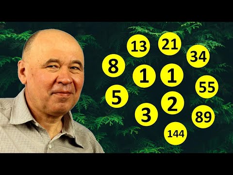 Видео: Золотое сечение и числа Фибоначчи