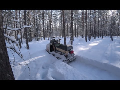 Видео: Буран короткий по глубокому снегу. Вариатор Сафари мощнее Альпины! Покатушки в тайге.