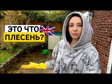 Видео: Жизнь в Англии! Как бороться с ЧЕРНОТОЙ? Уборка двора.