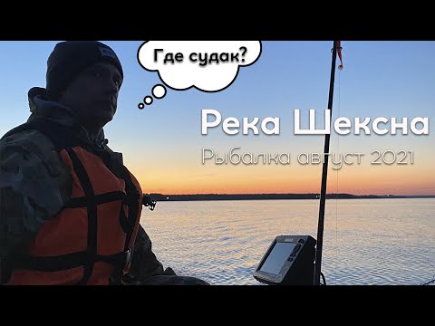 Видео: Рыбалка на реке Шексна. Окунь есть, а где судак?