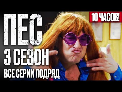 Видео: 🎬 Сериал ПЕС 3 сезон – Полный 3 СЕЗОН – ВСЕ СЕРИИ ПОДРЯД (13 – 24) | ПЕС 2023 – ЧАСТЬ 2