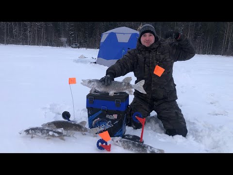 Видео: ОЗЕРО ,ГДЕ ТОЛЬКО ЩУКА / ТАКОЙ РЫБАЛКИ Я НЕ ОЖИДАЛ!!!
