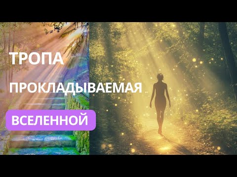 Видео: Тропа прокладываемая вселенной