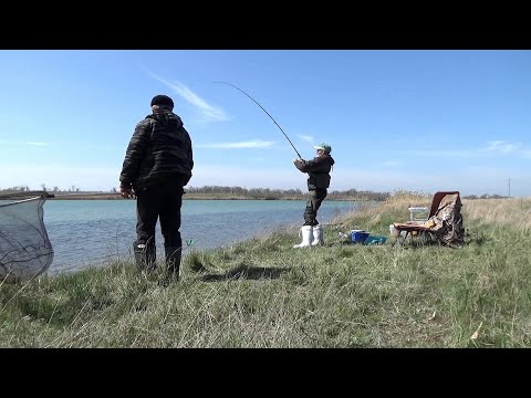 Видео: Долгожданная Рыбалка. ЭТИ ГАДЫ НАС ПРОГНАЛИ.