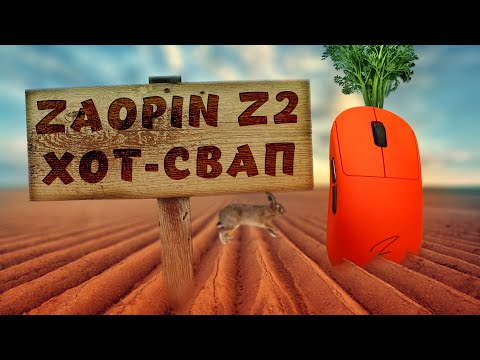 Видео: ZAOPIN Z2 - ЛУЧШАЯ МЫШКА ЗА 5К, Я НЕ ШУЧУ!