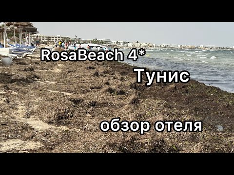 Видео: Rosa Beach 4*, Тунис июль 2025 обзор отеля #тунис #rosabeach #обзор