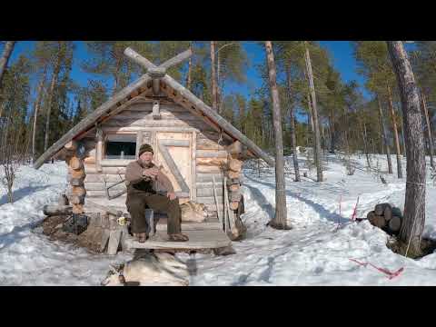 Видео: Случай с нападением волков и Таёжная возня.