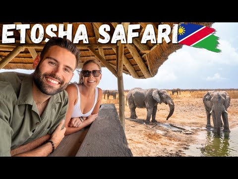 Видео: Мы отправились на роскошное сафари в частный заповедник в Намибии