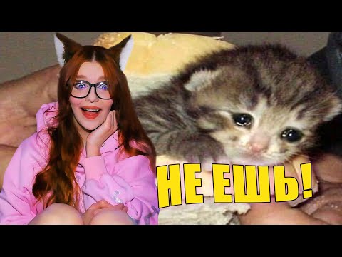 Видео: ЗАСМЕЯЛСЯ - ПОДПИСАЛСЯ! ЛУЧШИЕ ПРИКОЛЫ 2021 ТЕСТ НА ПСИХИКУ УГАР! НЕ ЗАСМЕЙСЯ ЧЕЛЛЕНДЖ