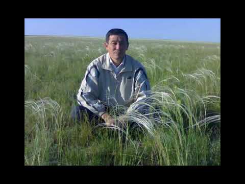 Видео: Ауылға барам