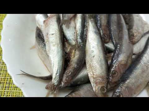 Видео: КИЛЬКА черноморская пряного посола