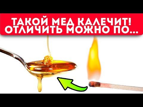 Видео: Хитрые продавцы меда ненавидят это видео! Как уберечь здоровье и выбрать правильный мед