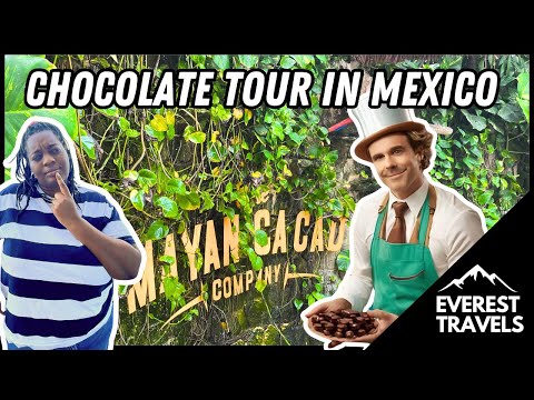 Видео: Компания Mayan Cacao | Косумель, Мексика | Шоколадный тур