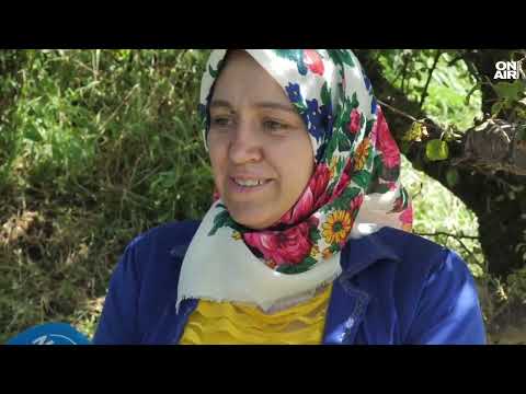 Видео: "Падаха зърна колкото орех, беше страшно": Описват щетите в Рибново