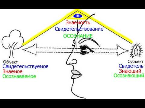 Видео: Знаемость